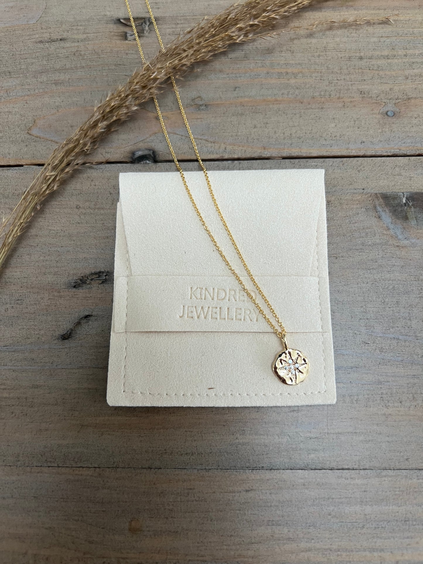 Robin gold star pendant necklace